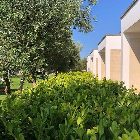Otus Camere Otranto Ngoại thất bức ảnh