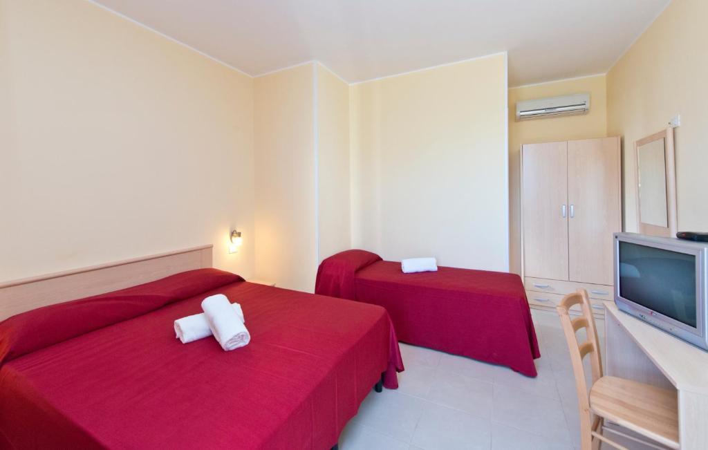 Otus Camere Otranto Phòng bức ảnh